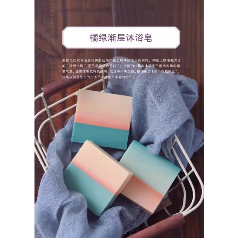 Libro per la produzione di sap - Soap Making Guide Book recensione e prezzo